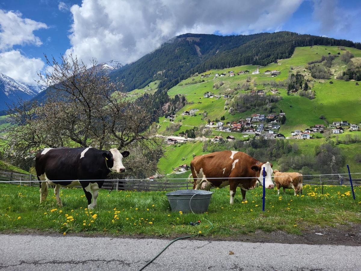 Bergbauernhof-Grinzensアパートメント エクステリア 写真